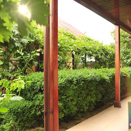 Casa Boby Hotel Murighiol Bagian luar foto