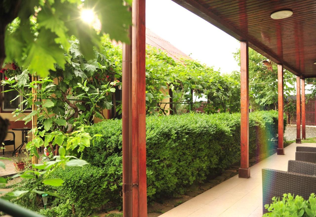 Casa Boby Hotel Murighiol Bagian luar foto
